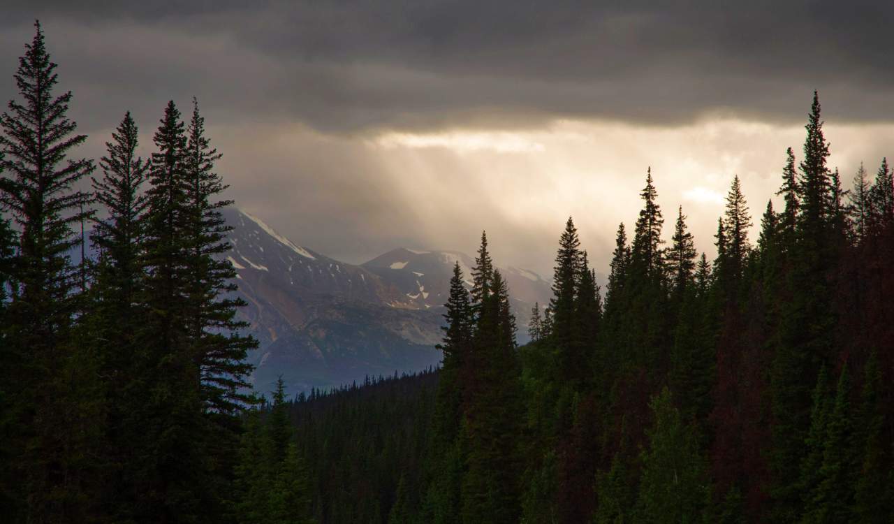 People Found the Most Mind-blowing Photos of Nature and Posted Them