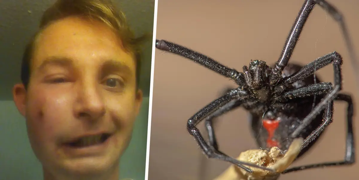 Scariest Spider Encounters That Will Make You Say &#8220;Burn It Down&#8221;