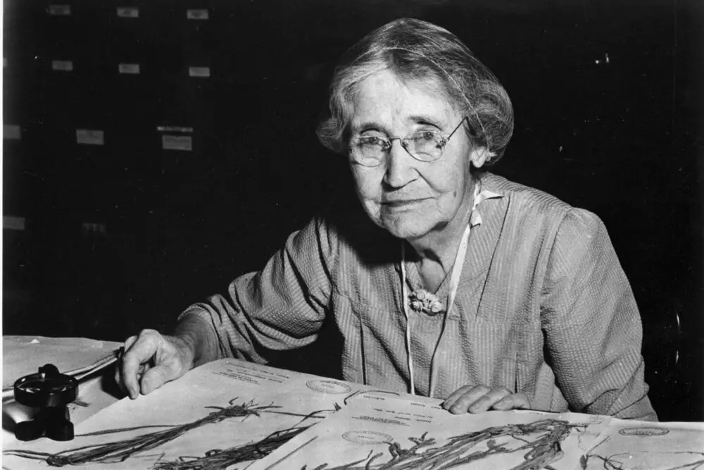 These Women Had To Overcome the Impossible To Make It In Science