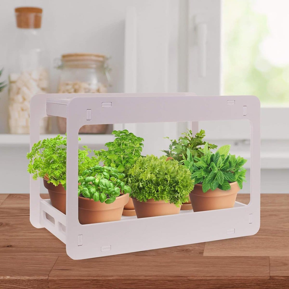 Grow Plants Like a Botanist Thanks to These Gardening Products