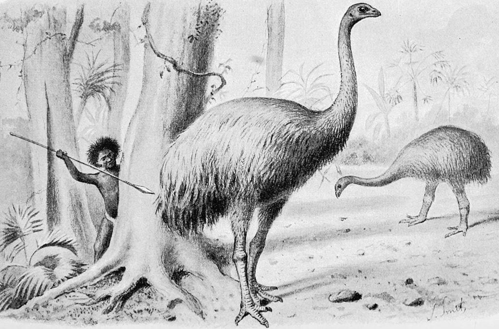 Extinct Animals Science Could Bring Back