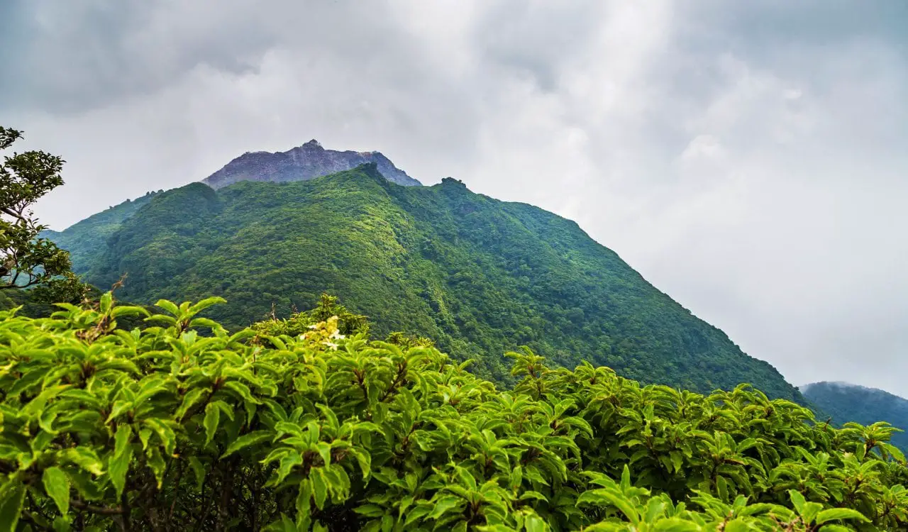 The Most Infamous Volcano Eruptions In History