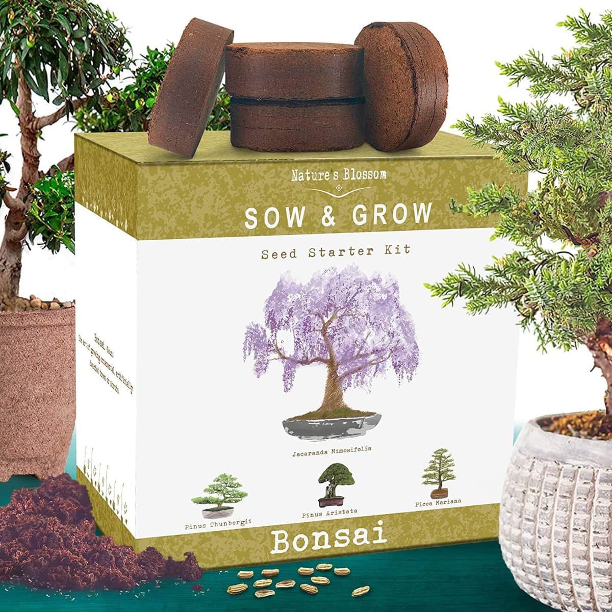 Grow Plants Like a Botanist Thanks to These Gardening Products