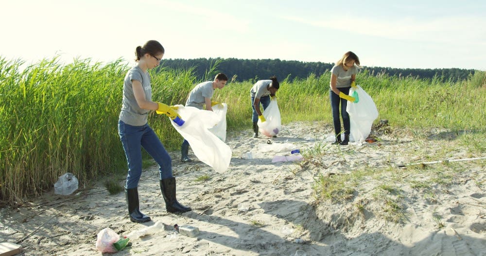 How Scientists Stumbled Upon Plastic Eating Bacteria