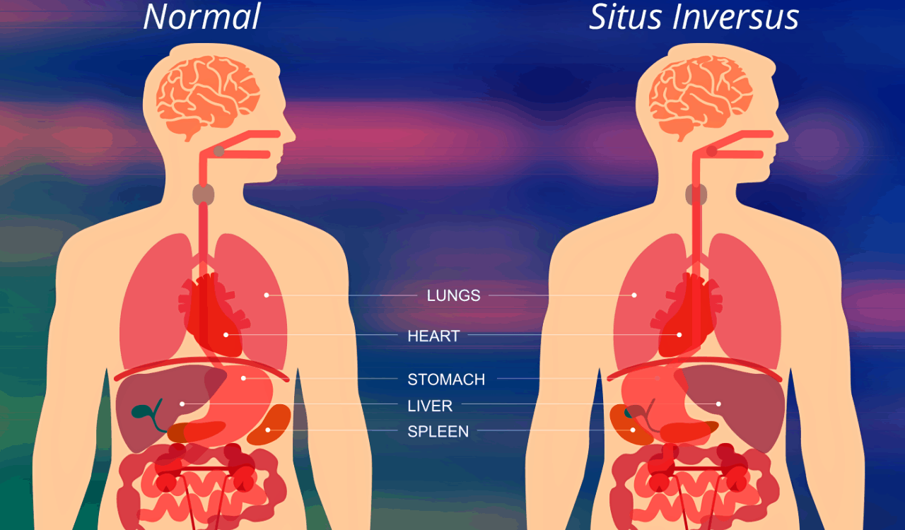 These Questions Prove People Know Nothing About Human Anatomy