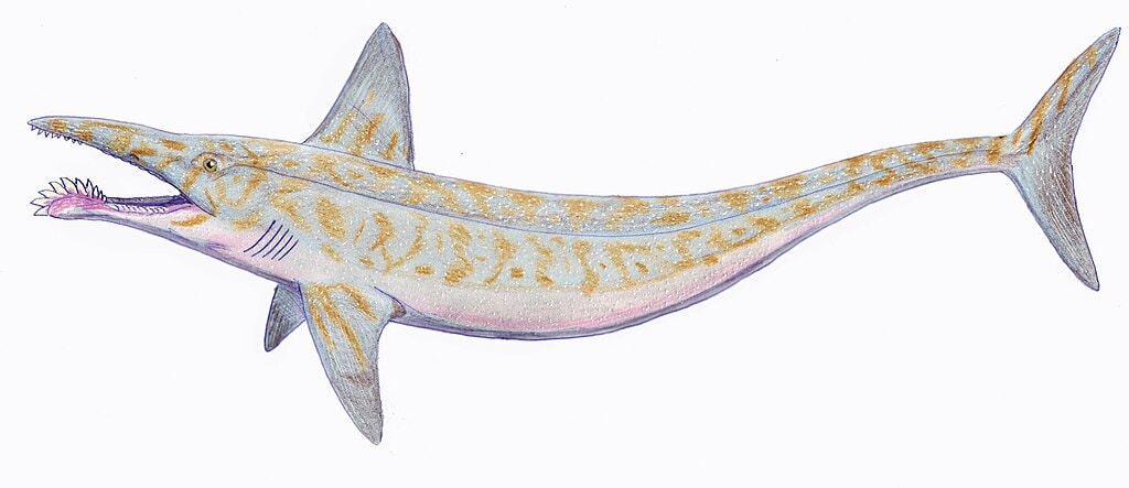 A List of Ancient Sharks from Small to Scary