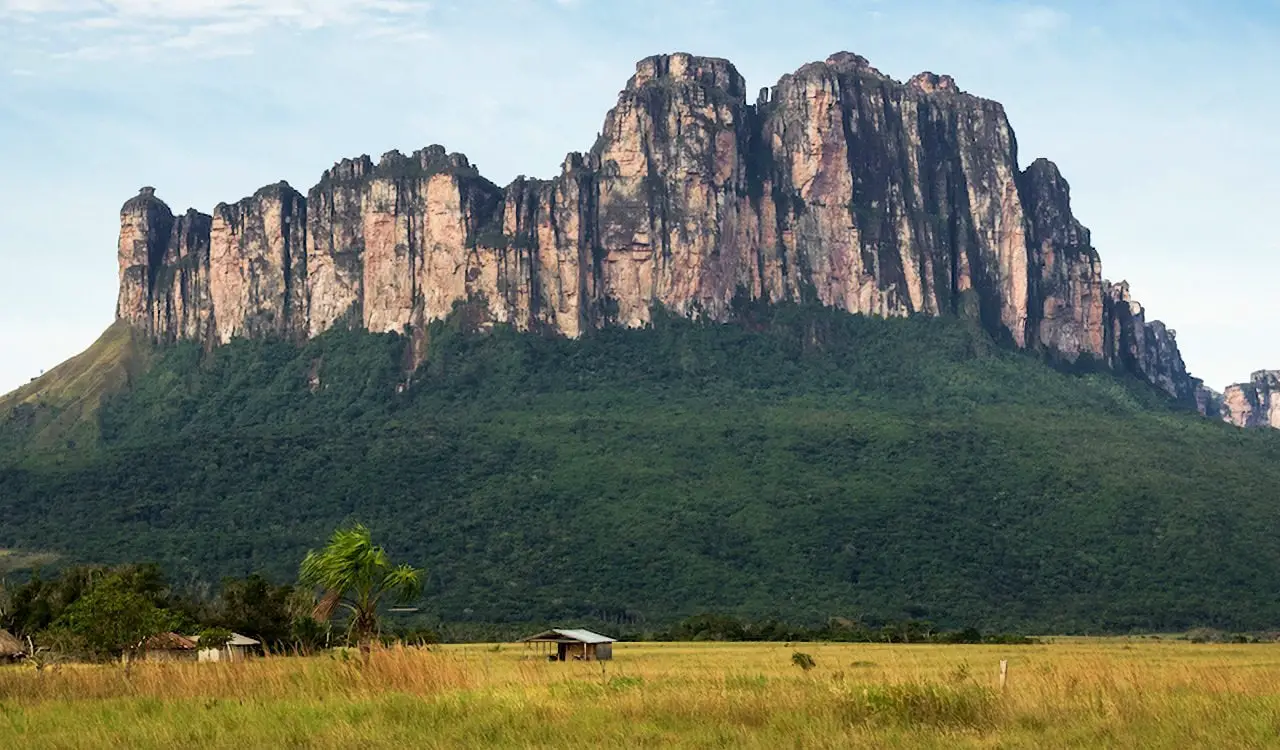 People Who Found Scientific Discoveries In Their Own Backyard