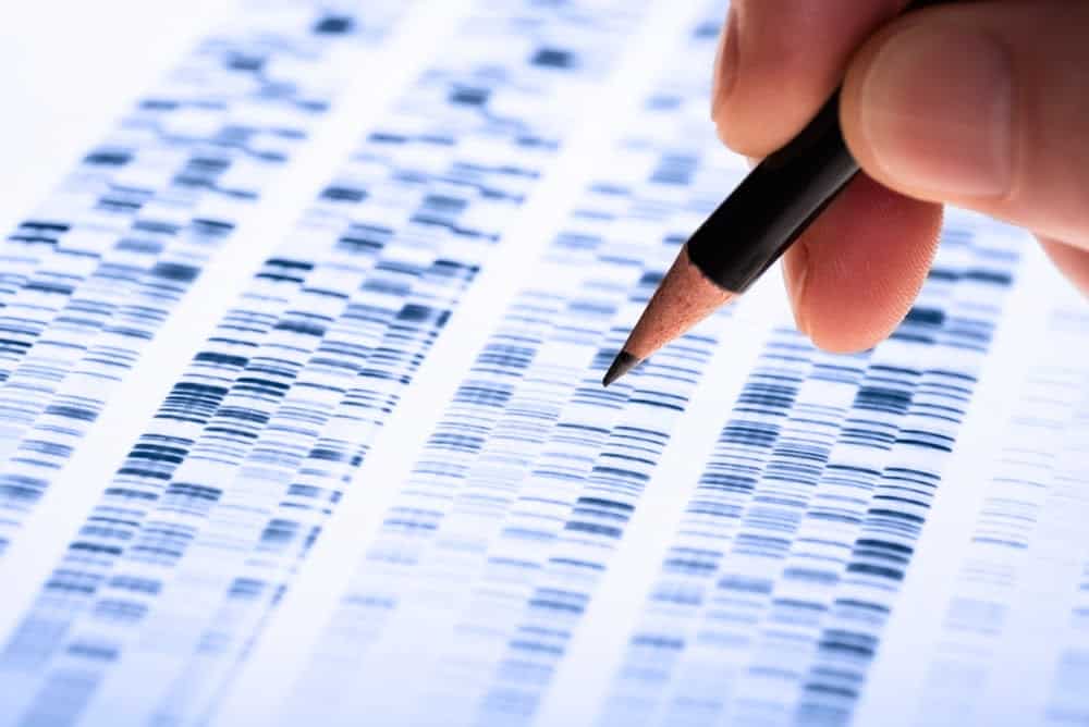 The Issues With Accuracy of At-Home DNA Tests