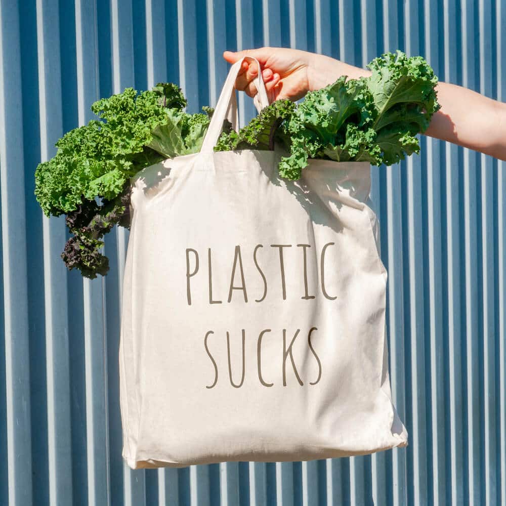 23 Tips for Living More Sustainably in College