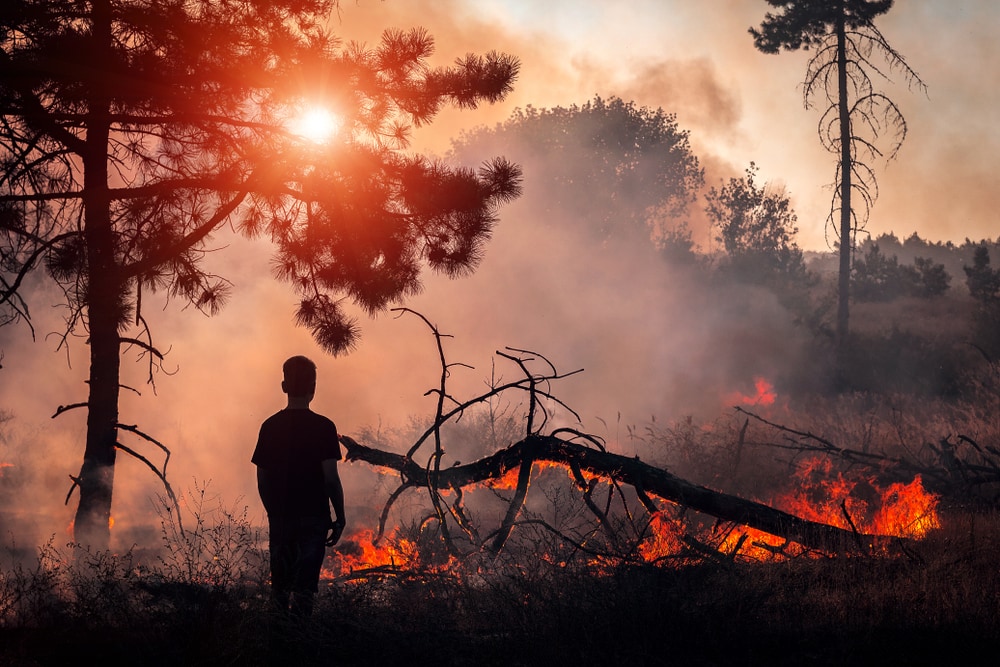 Shocking Photos that Prove Humans Destroy Everything They Touch