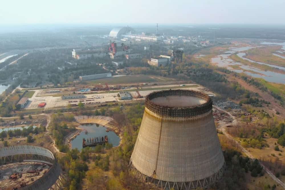 New Species Living in Fukushima, Japan&#8217;s Nuclear Accident Zone