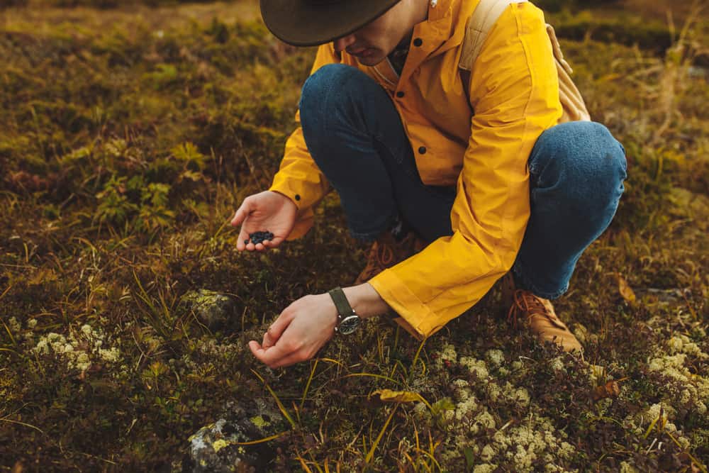 How a Person Could Survive if they Got Lost While Camping or Hiking