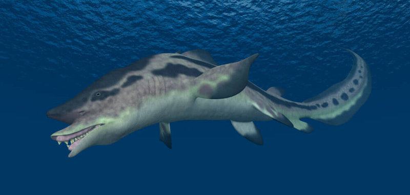 A List of Ancient Sharks from Small to Scary