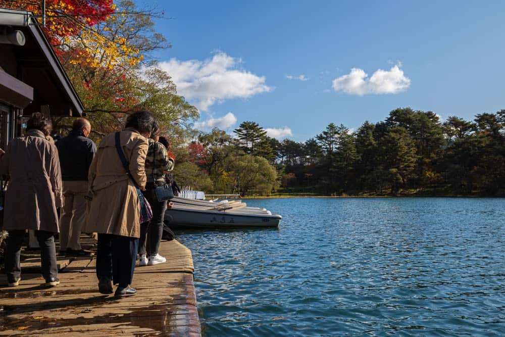 New Species Living in Fukushima, Japan&#8217;s Nuclear Accident Zone