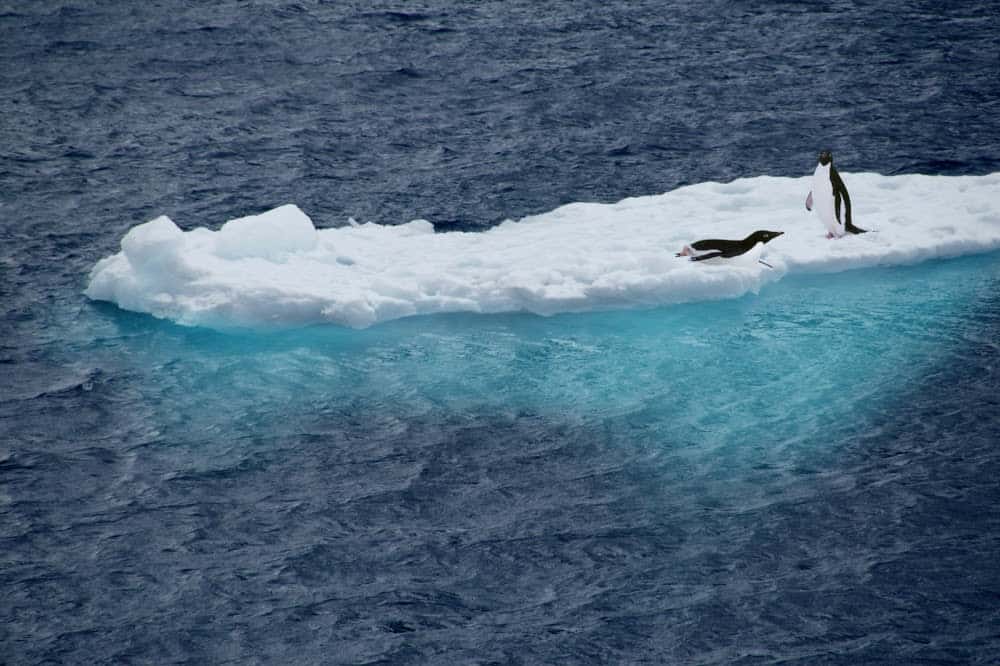 Subglacial Lakes in Antarctica are Full of Secrets