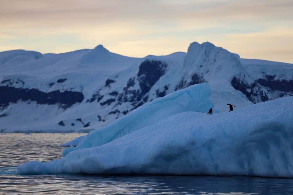 Subglacial Lakes in Antarctica are Full of Secrets