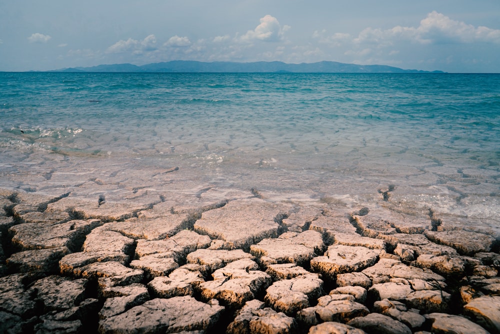 Shocking Photos that Prove Humans Destroy Everything They Touch