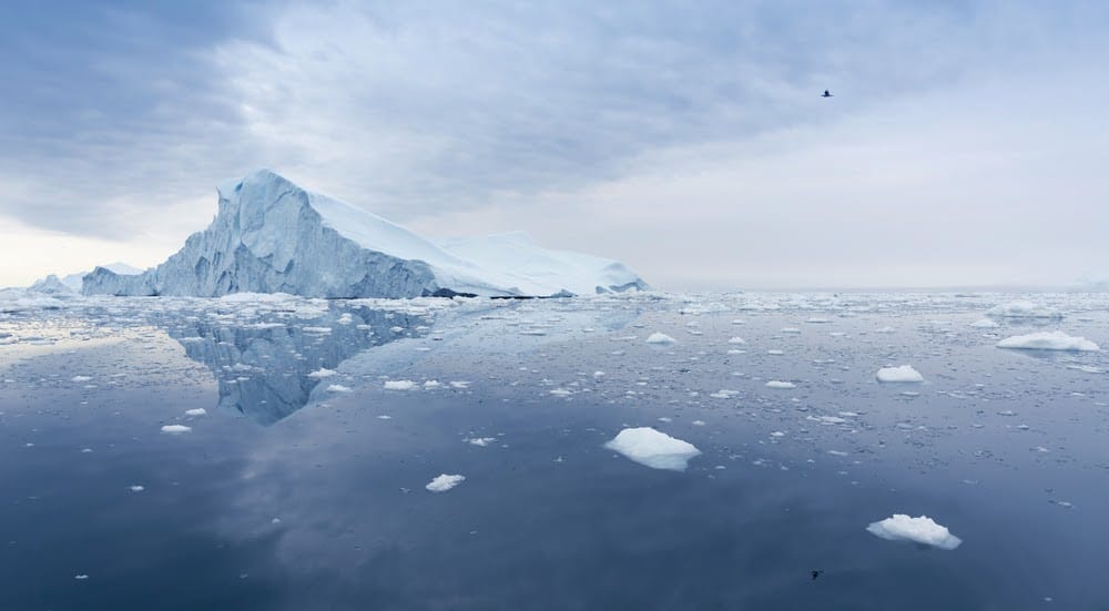 Subglacial Lakes in Antarctica are Full of Secrets