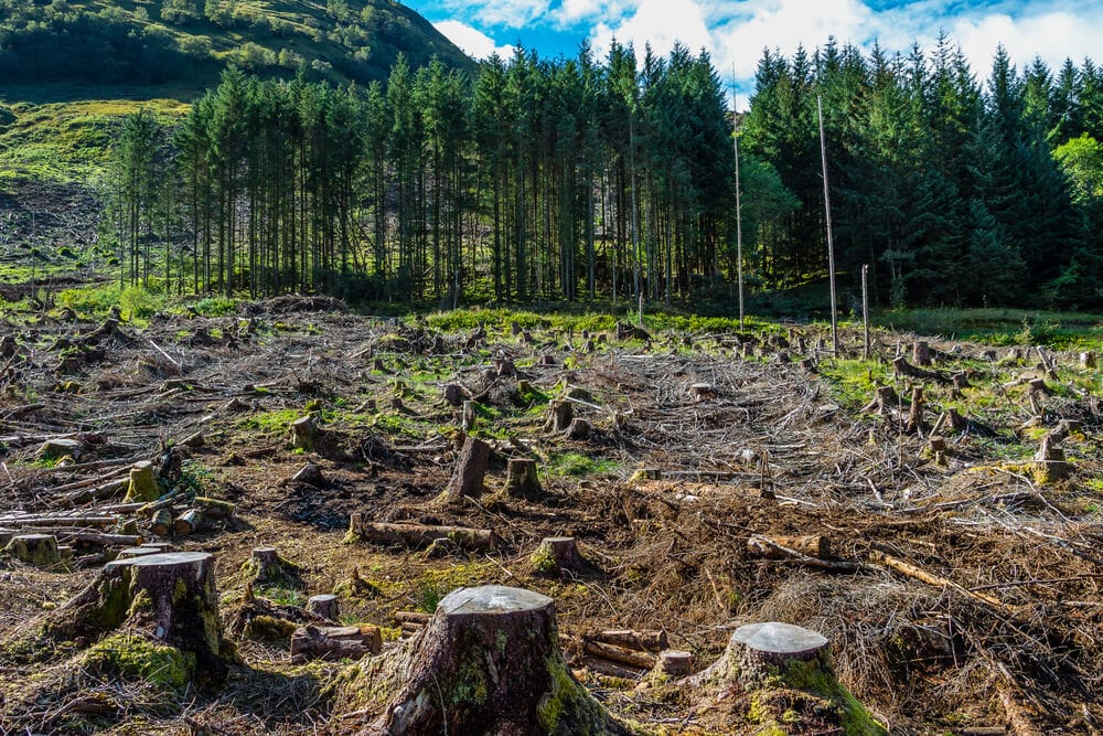 The Heat Wave Across Europe Reveals an Ongoing Climate Change Crisis