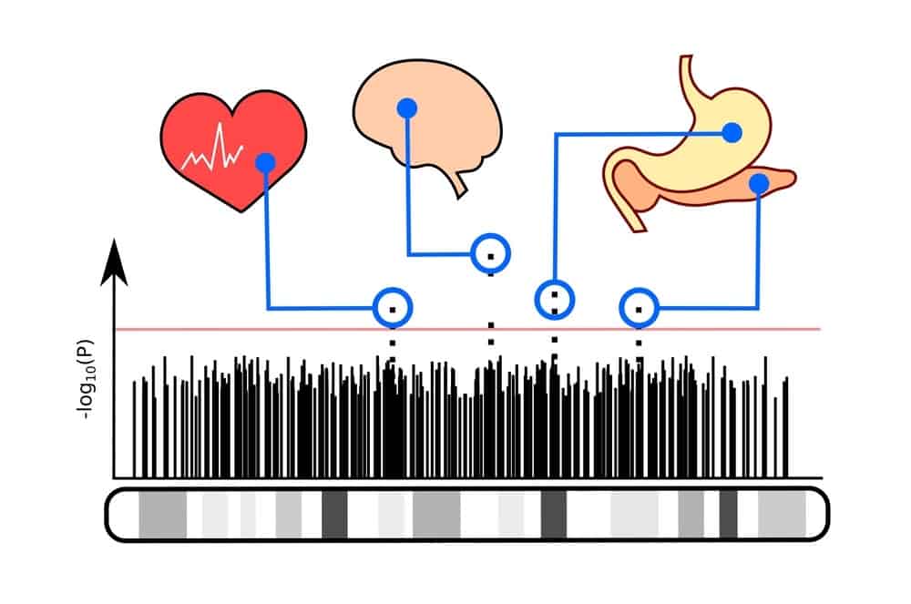 The Issues With Accuracy of At-Home DNA Tests