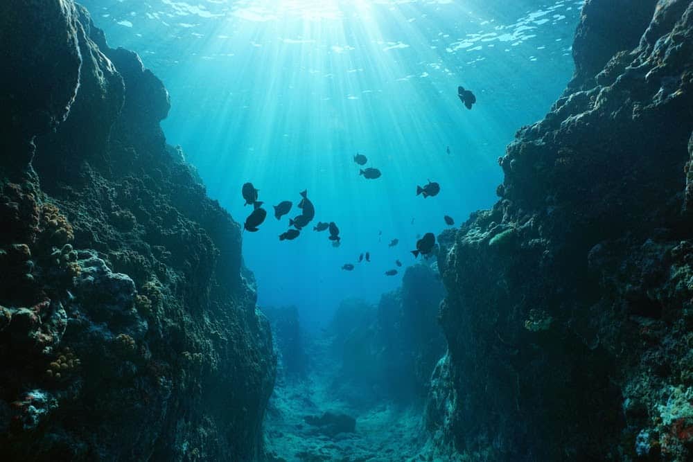 Here&#8217;s Confirmation That Earth was a &#8216;Water World&#8217; Based on Ocean Crust