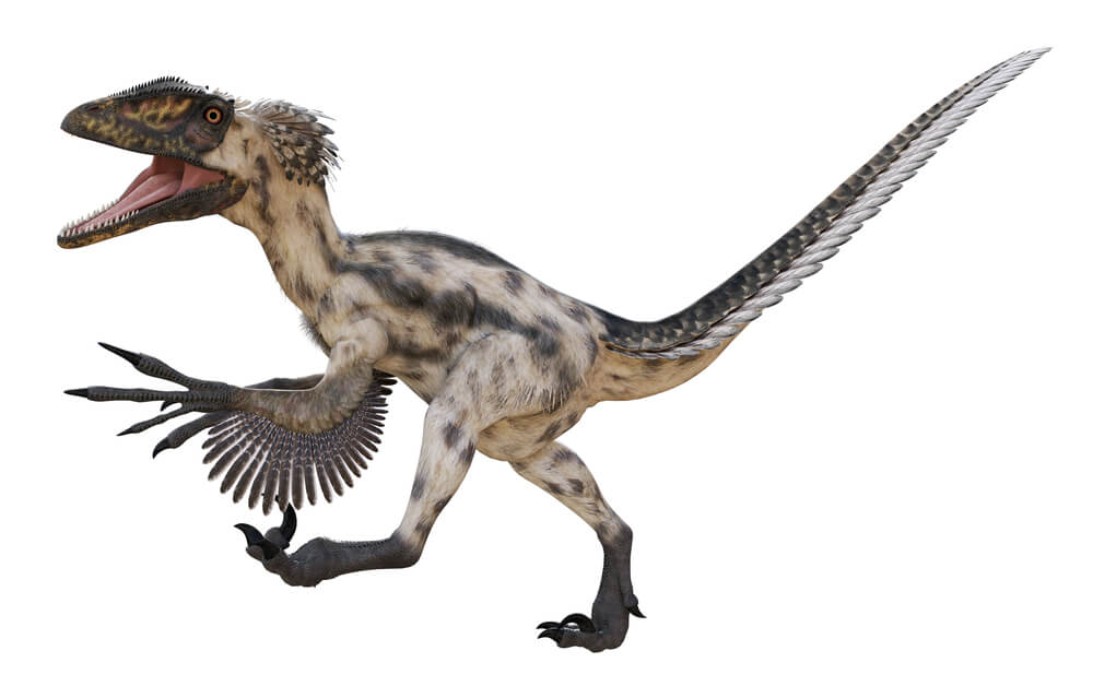 40 Dinosaurs Discovered in North America