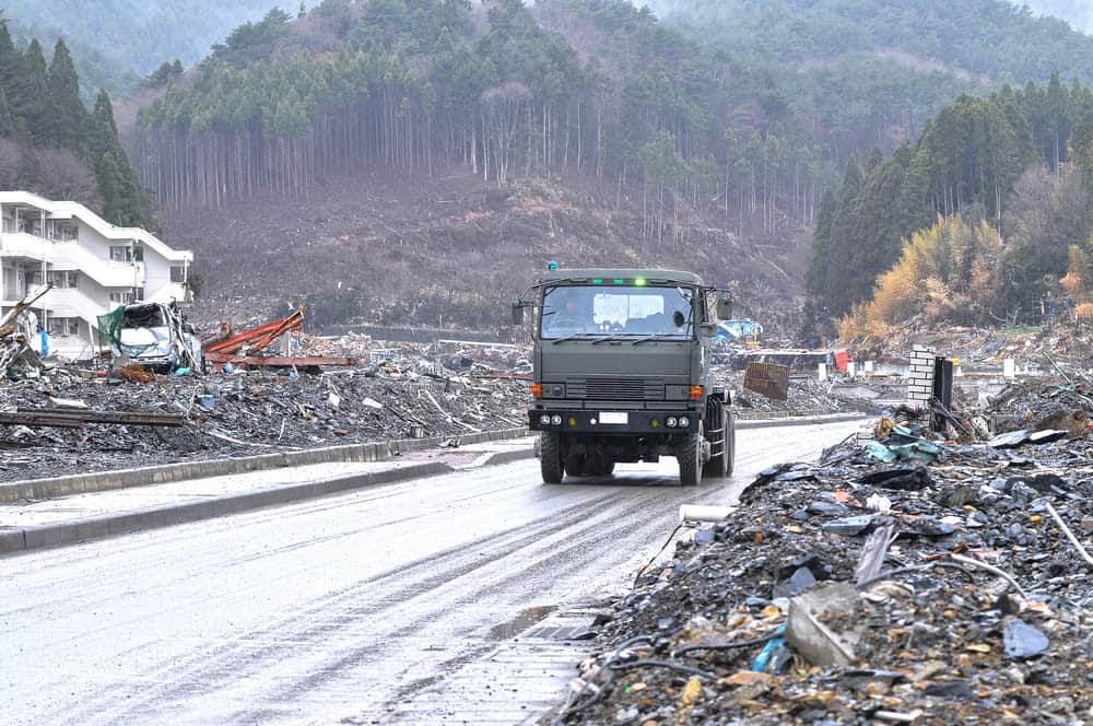 New Species Living in Fukushima, Japan&#8217;s Nuclear Accident Zone