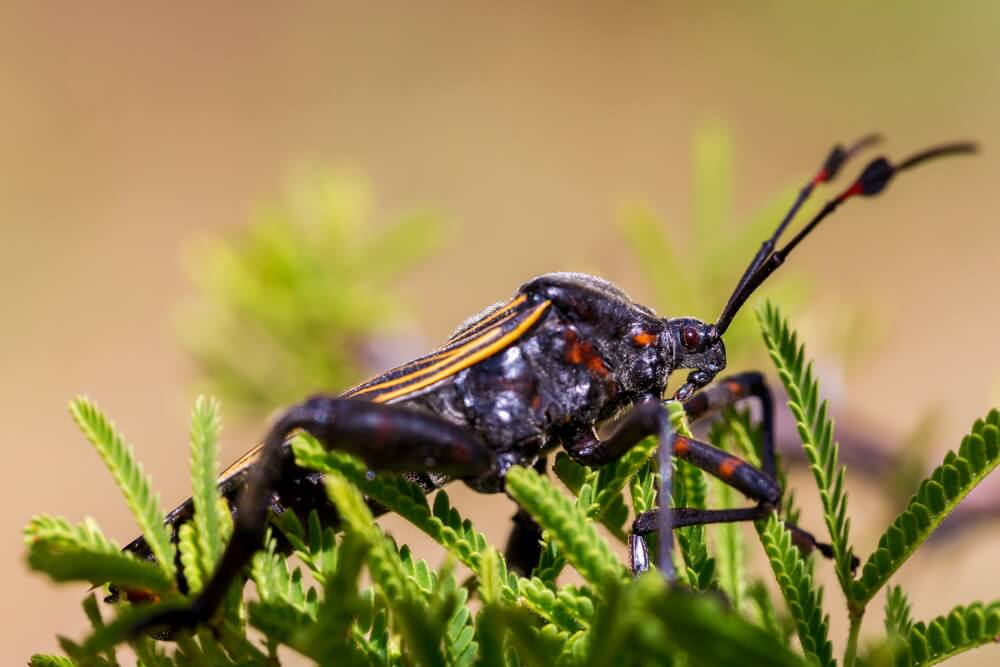 40 Times Earth&#8217;s Animals Created Nightmares