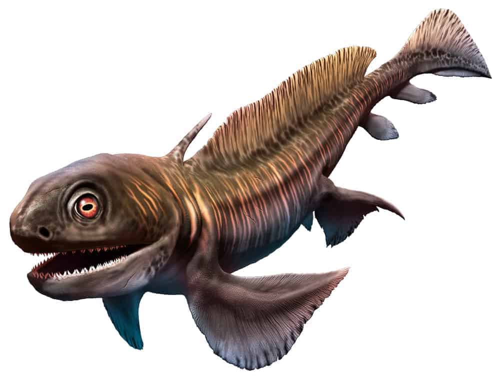 A List of Ancient Sharks from Small to Scary