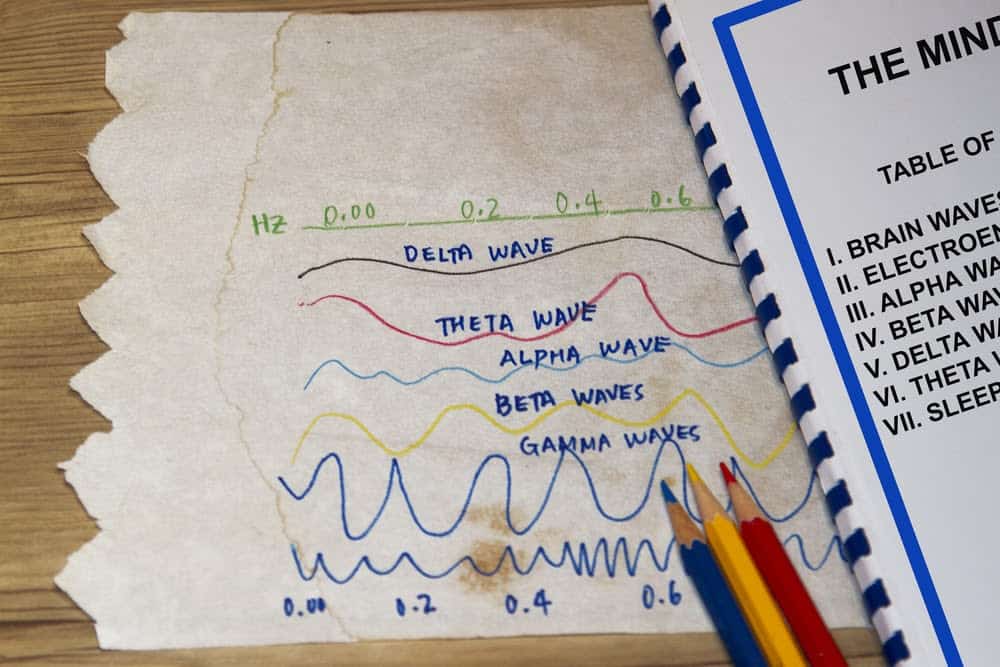 Understanding the Human Sleep Cycle