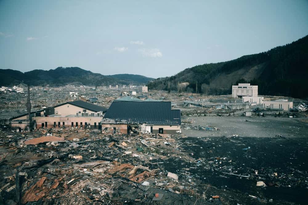 New Species Living in Fukushima, Japan&#8217;s Nuclear Accident Zone