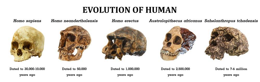 Here&#8217;s Why Creation Science Is Making a Comeback