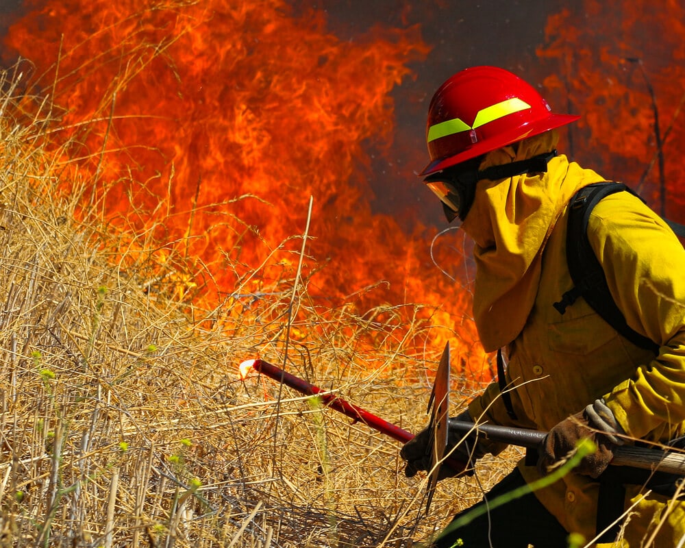 The Heat Wave Across Europe Reveals an Ongoing Climate Change Crisis