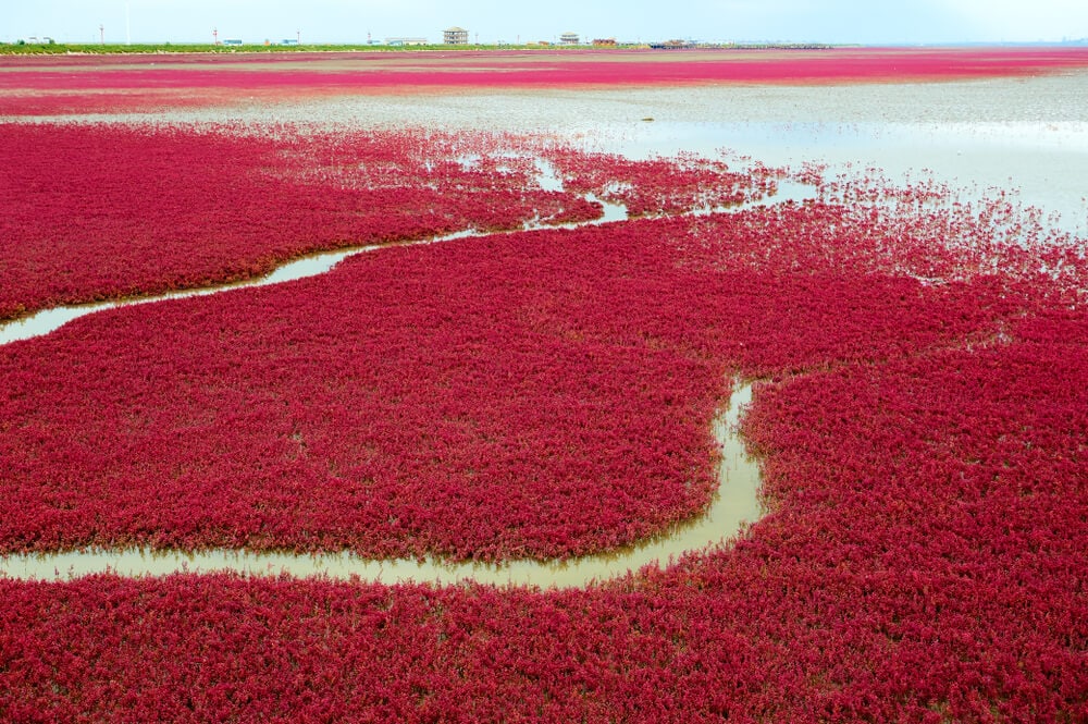 Beautiful, Yet Strange Places on Earth