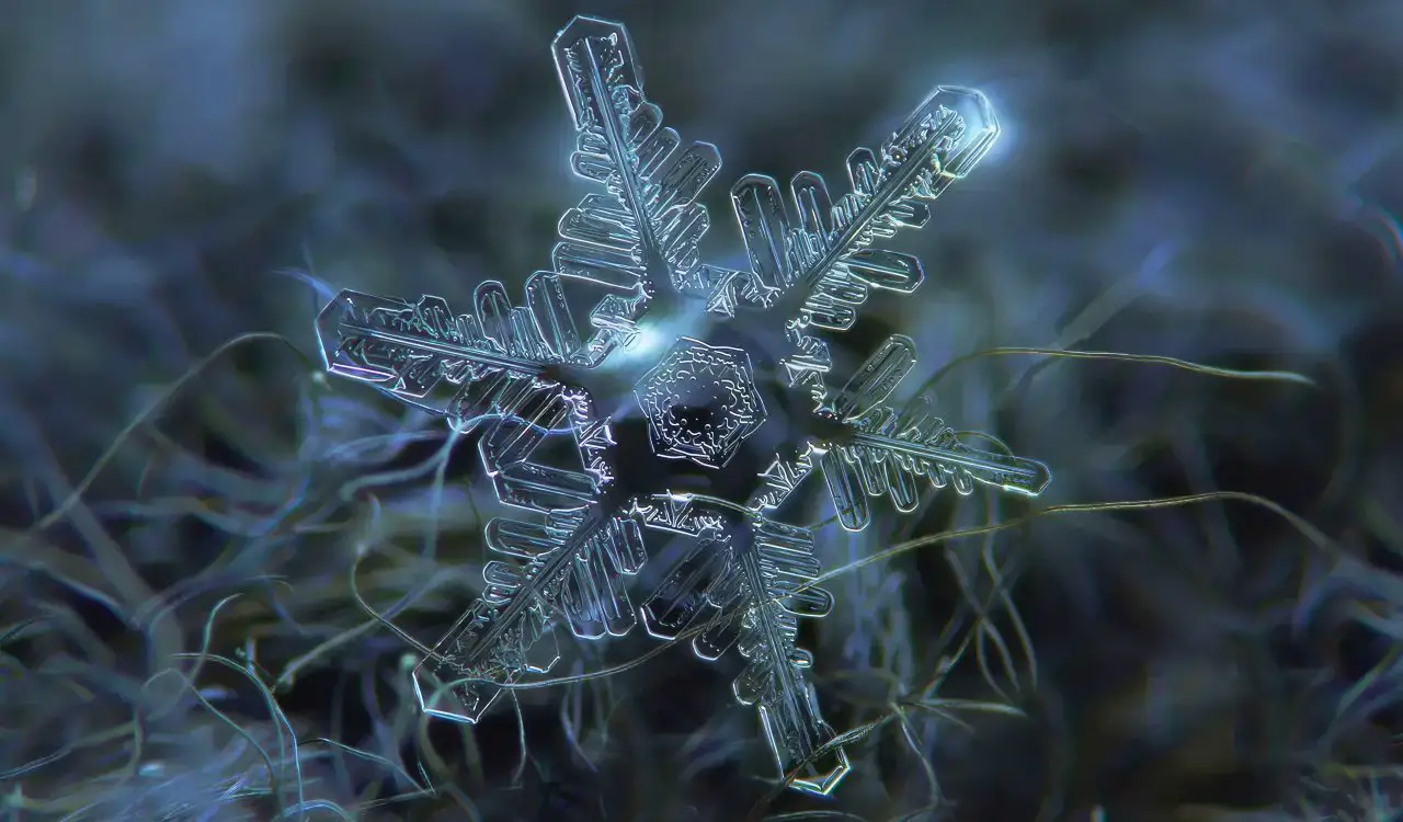 Mind-Blowing Science Photos You&#8217;ve Probably Never Seen Before