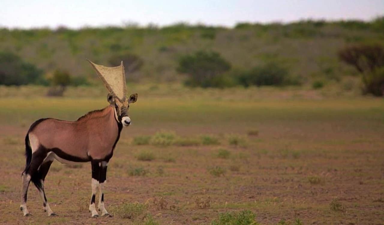 People Found the Most Mind-blowing Photos of Nature and Posted Them