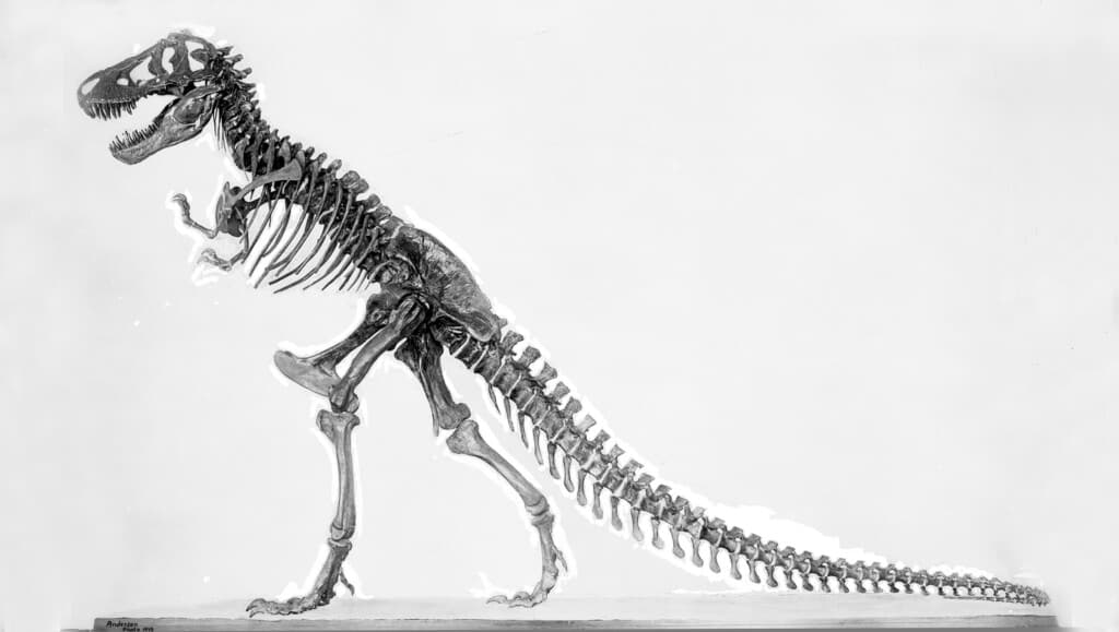 The Groundbreaking Discovery of a Tiny T-Rex in Utah