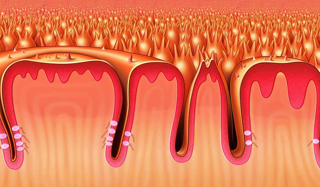 Rare Genetic Traits Most People Probably Don&#8217;t Have