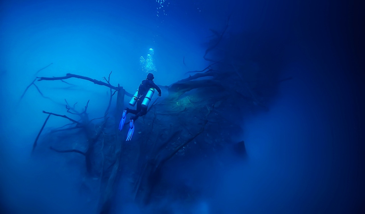 Disturbing Images That Will Trigger Your Thalassophobia