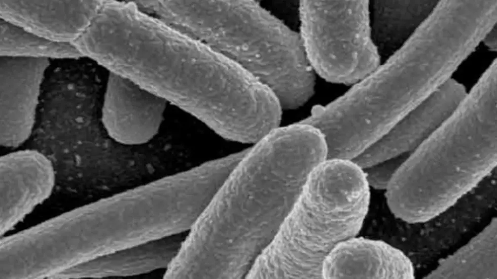 Extraterrestrial Bacteria That Could Rewrite the Rules of Life As We Know It