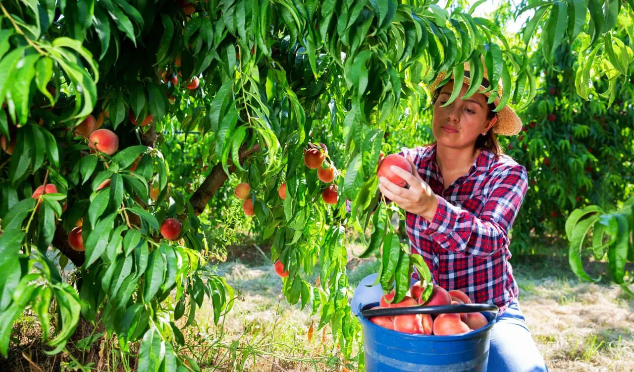 Simple Green Hacks That Easily Reduce Waste and Help the Climate